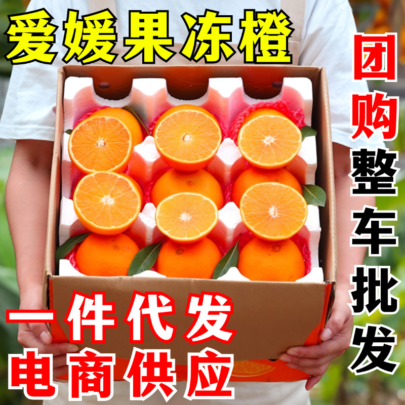 四川爱媛38号果冻橙一件代发当季薄皮橙子电商供应