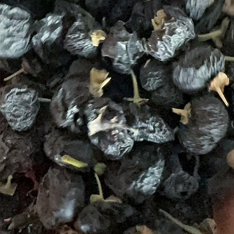 黑枸杞新疆特产头茬无加工原味泡茶泡水散装新货包邮批发