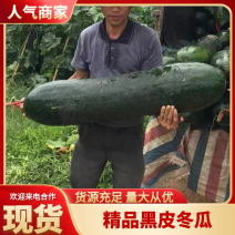 安徽冬瓜，黑皮冬瓜，条型好，皮毛亮，基地直发，大量上市。