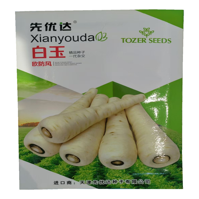 欧防风种子欧洲萝卜种子白玉杂交品种英国10克