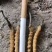 优选藏区高海拔【纯野生冬虫夏草质量保障规格齐全价格美丽