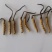 优选藏区高海拔【纯野生冬虫夏草质量保障规格齐全价格美丽