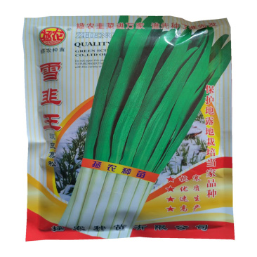 雪韭王韭菜种子直立叶片宽大基地高产大叶韭菜种子