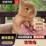 宠物兔宠物兔质量好！30只起批，提供饲养技术！