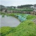 进口混播四季护坡草坪草籽耐旱绿化固土种子野草四季青草坪草