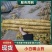 【小白嘴山药】河北石家庄产地直发提供水洗包装服务