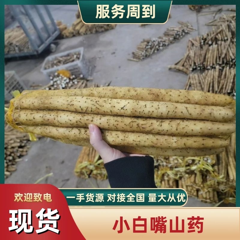 【小白嘴山药】河北石家庄产地直发提供水洗包装服务