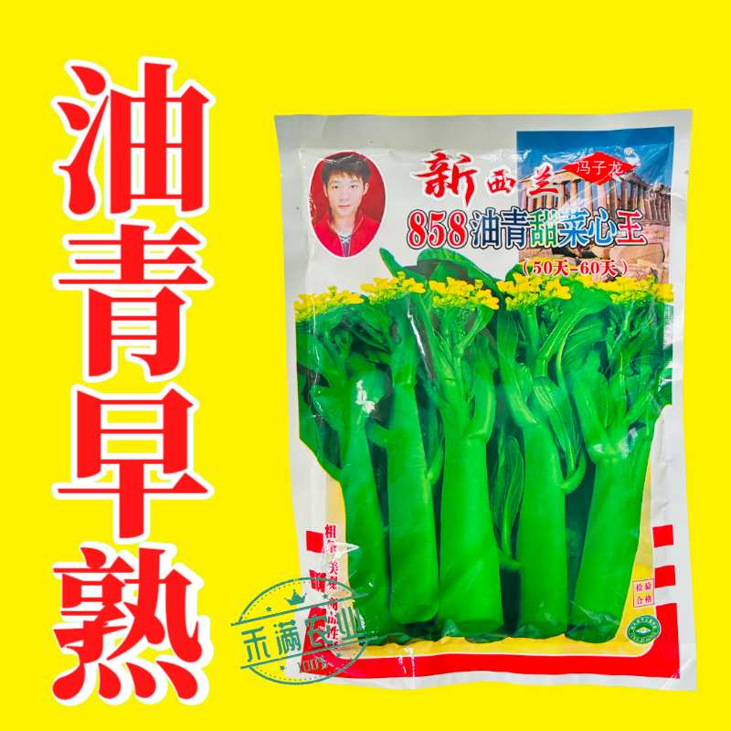 广东甜菜心特甜脆菜苔芯种子绿菜苔耐热寒蔬菜籽菜苔种子