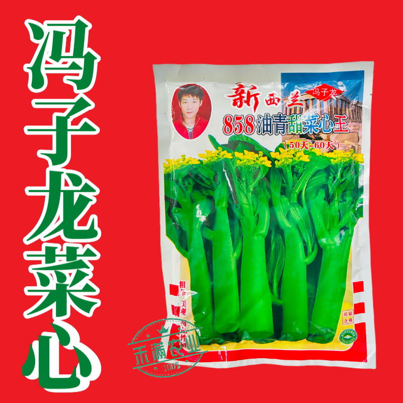 广东甜菜心特甜脆菜苔芯种子绿菜苔耐热寒蔬菜籽菜苔种子