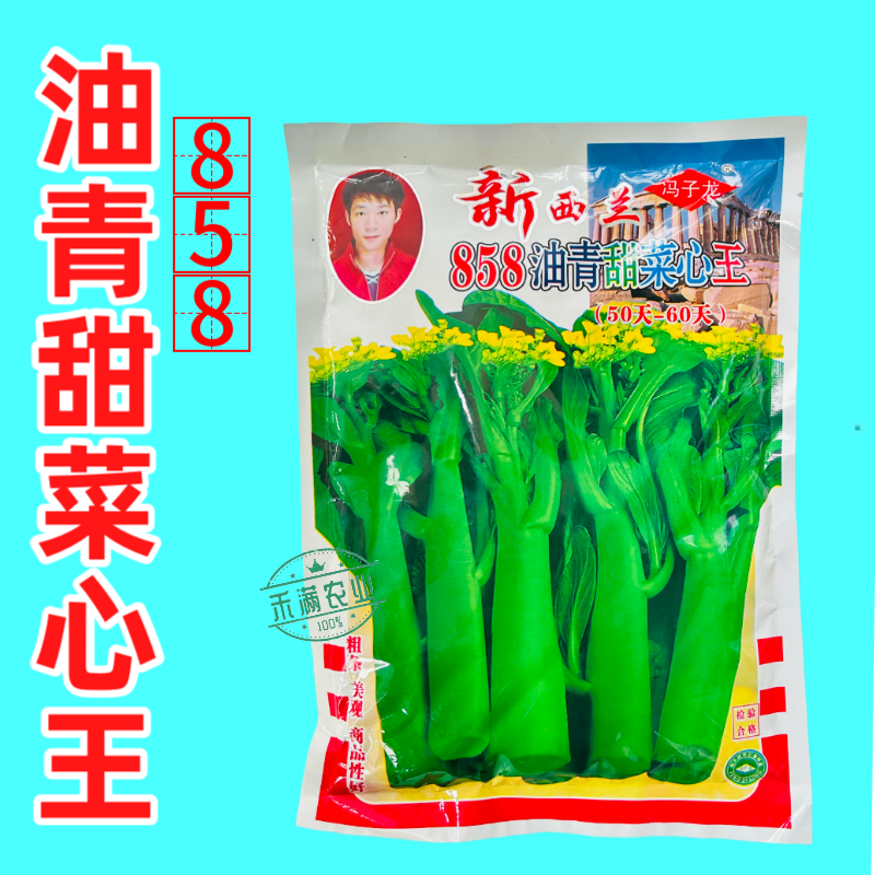 广东甜菜心特甜脆菜苔芯种子绿菜苔耐热寒蔬菜籽菜苔种子