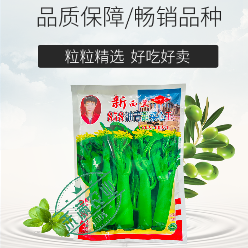 广东甜菜心特甜脆菜苔芯种子绿菜苔耐热寒蔬菜籽菜苔种子