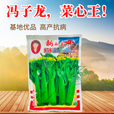 广东甜菜心特甜脆菜苔芯种子绿菜苔耐热寒蔬菜籽菜苔种子