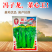 广东甜菜心特甜脆菜苔芯种子绿菜苔耐热寒蔬菜籽菜苔种子