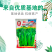 广东甜菜心特甜脆菜苔芯种子绿菜苔耐热寒蔬菜籽菜苔种子