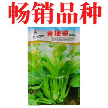 绿梗白菜苔种子甜苔菜心籽甜脆多芽高产多芽味甜白菜苔种子