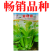 绿梗白菜苔种子甜苔菜心籽甜脆多芽高产多芽味甜白菜苔种子