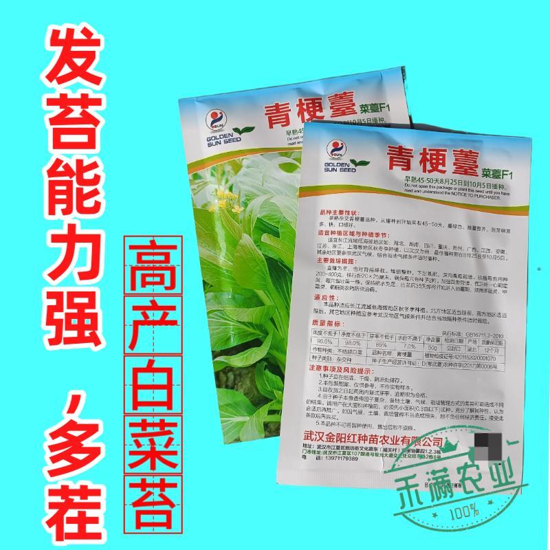 绿梗白菜苔种子甜苔菜心籽甜脆多芽高产多芽味甜白菜苔种子