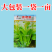绿梗白菜苔种子甜苔菜心籽甜脆多芽高产多芽味甜白菜苔种子