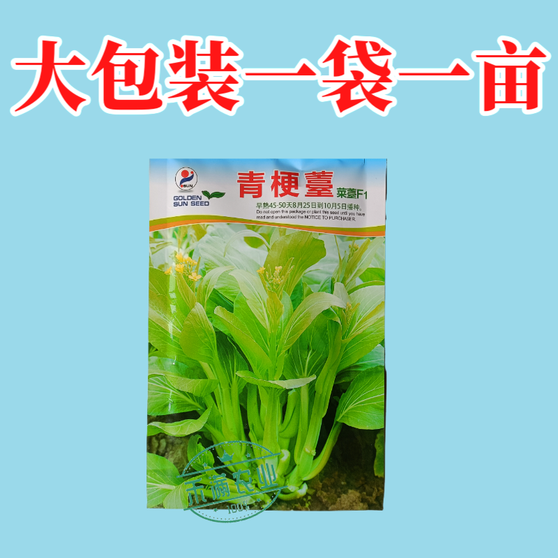 绿梗白菜苔种子甜苔菜心籽甜脆多芽高产多芽味甜白菜苔种子