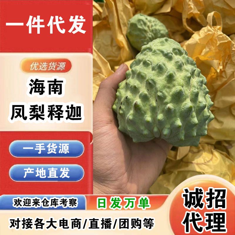海南凤梨释迦一件代发产地直发一手货源对接各大电商平台