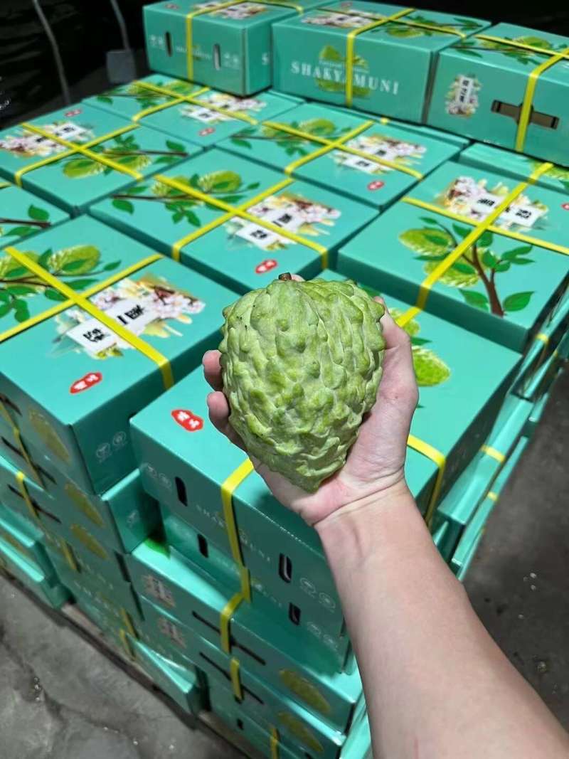 海南凤梨释迦一件代发产地直发一手货源对接各大电商平台