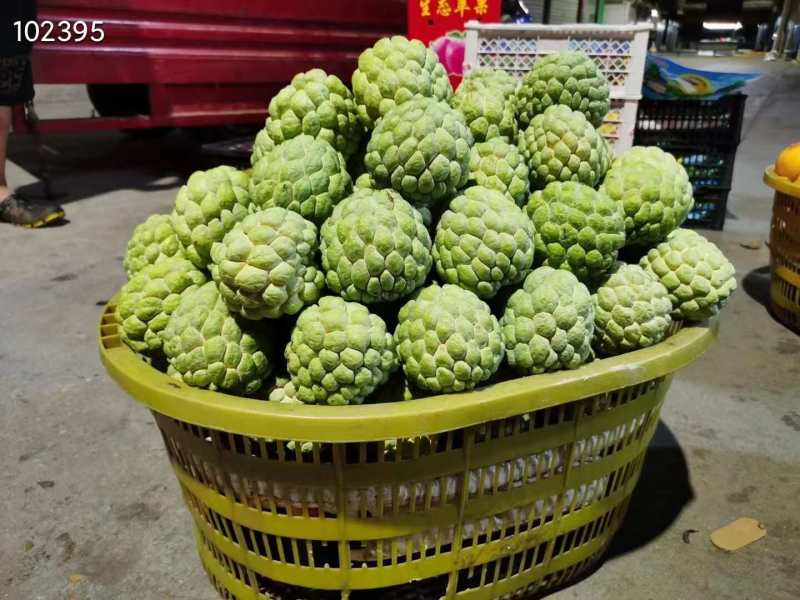 海南凤梨释迦一件代发产地直发一手货源对接各大电商平台