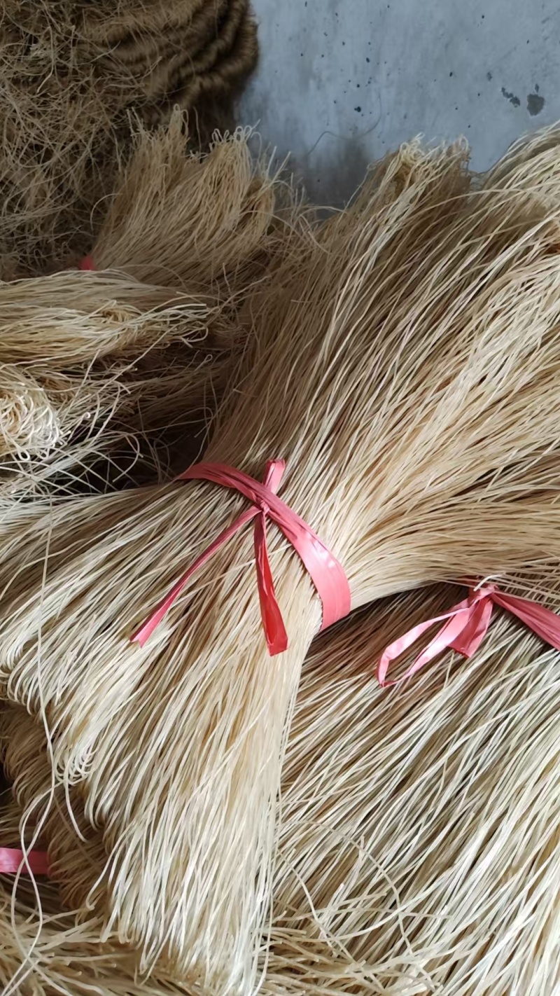 【荐】河南红薯粉条可视频看货自家生产品质保证对接全国