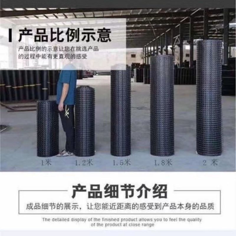 大棚防兜网池塘防护网养殖鸽子防麻雀家禽围网圈山栅栏塑料网