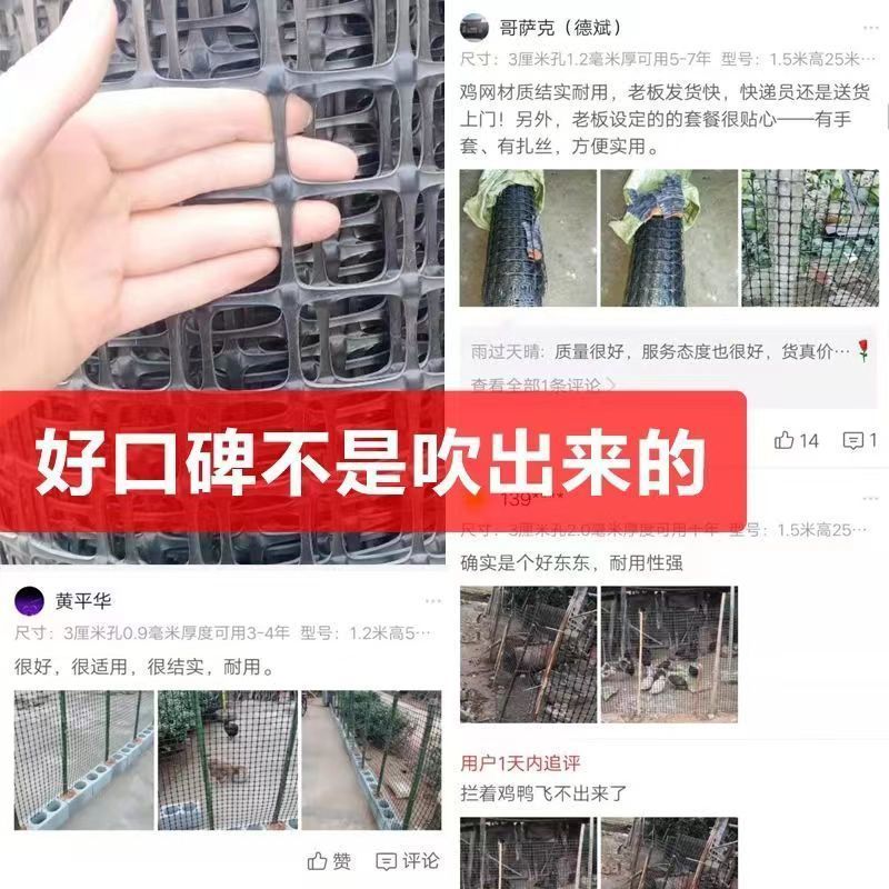 大棚防兜网池塘防护网养殖鸽子防麻雀家禽围网圈山栅栏塑料网