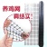 大棚防兜网池塘防护网养殖鸽子防麻雀家禽围网圈山栅栏塑料网