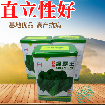 杂交一代菠菜种子直立好叶厚高产抗病耐寒耐热易种畅销优质菜