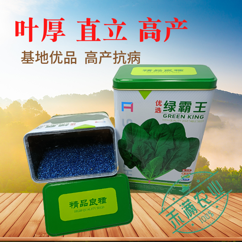杂交一代菠菜种子直立好叶厚高产抗病耐寒耐热易种畅销优质菜