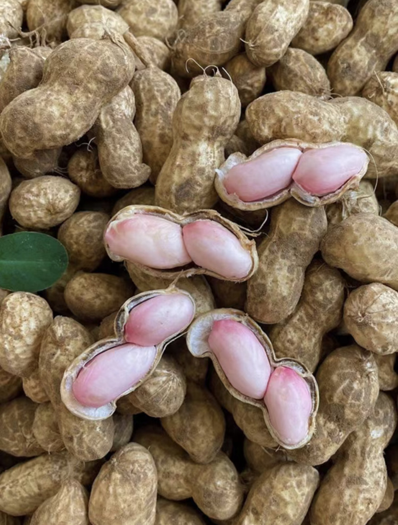 品质纯正农户自产纯花生油纯正浓香食用油量大从优