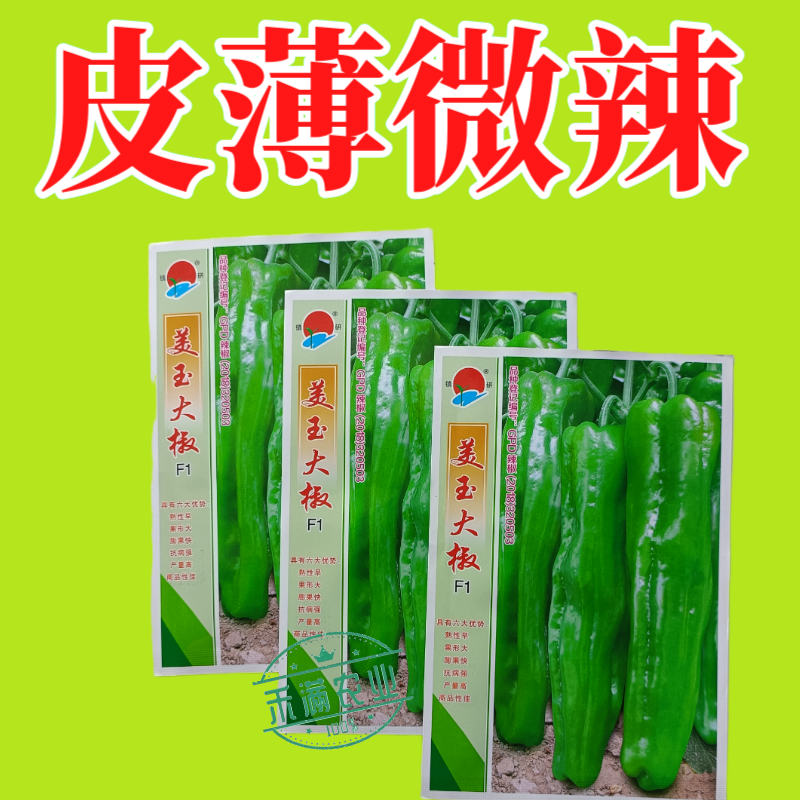 王炸品美玉大辣椒种籽特大薄皮椒种籽高端辣椒种籽皱皮椒种籽