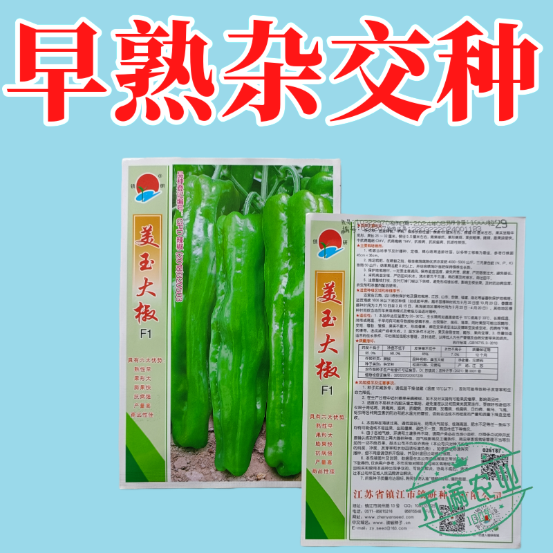 王炸品美玉大辣椒种籽特大薄皮椒种籽高端辣椒种籽皱皮椒种籽