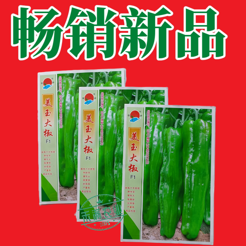 王炸品美玉大辣椒种籽特大薄皮椒种籽高端辣椒种籽皱皮椒种籽