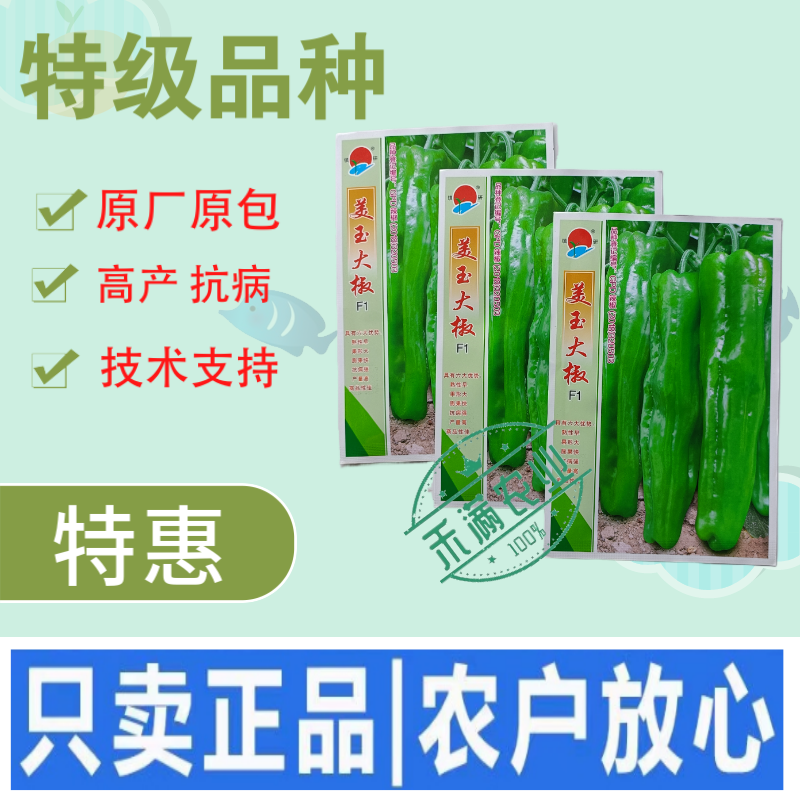 王炸品美玉大辣椒种籽特大薄皮椒种籽高端辣椒种籽皱皮椒种籽