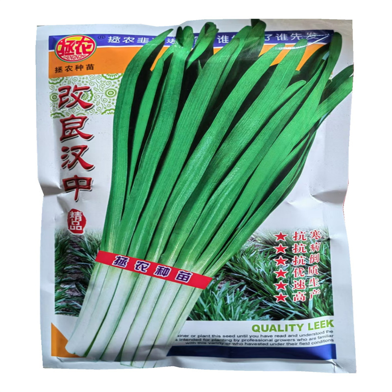 改良汉中韭菜种子休眠白根速生抗寒宽叶韭菜种子高产