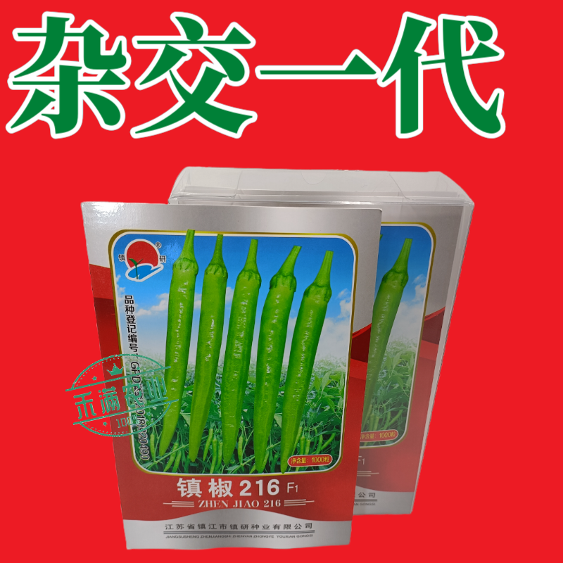 基地优品杭椒种子籽早熟微辣四季辣椒蔬菜种孑杭椒216