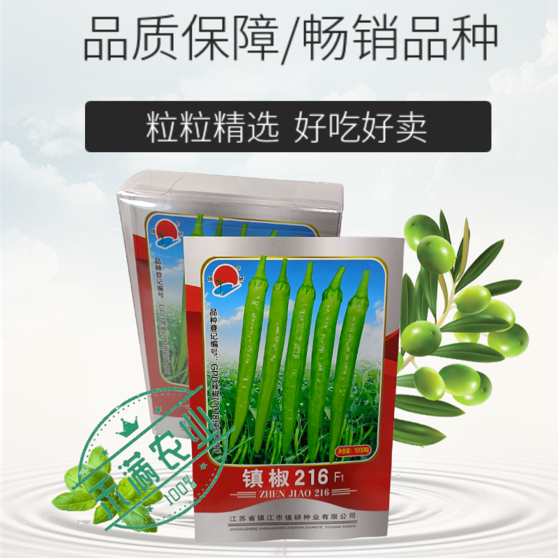 基地优品杭椒种子籽早熟微辣四季辣椒蔬菜种孑杭椒216