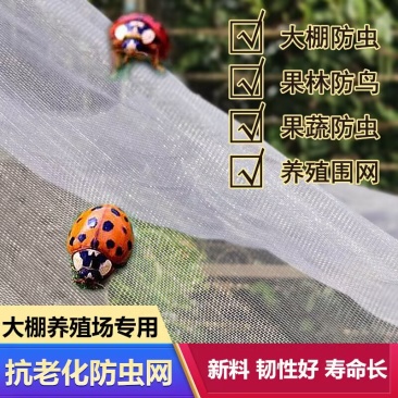防虫网大棚专用养殖场防蚊网蛙厂聚乙烯纱网蔬菜果树脐橙围网