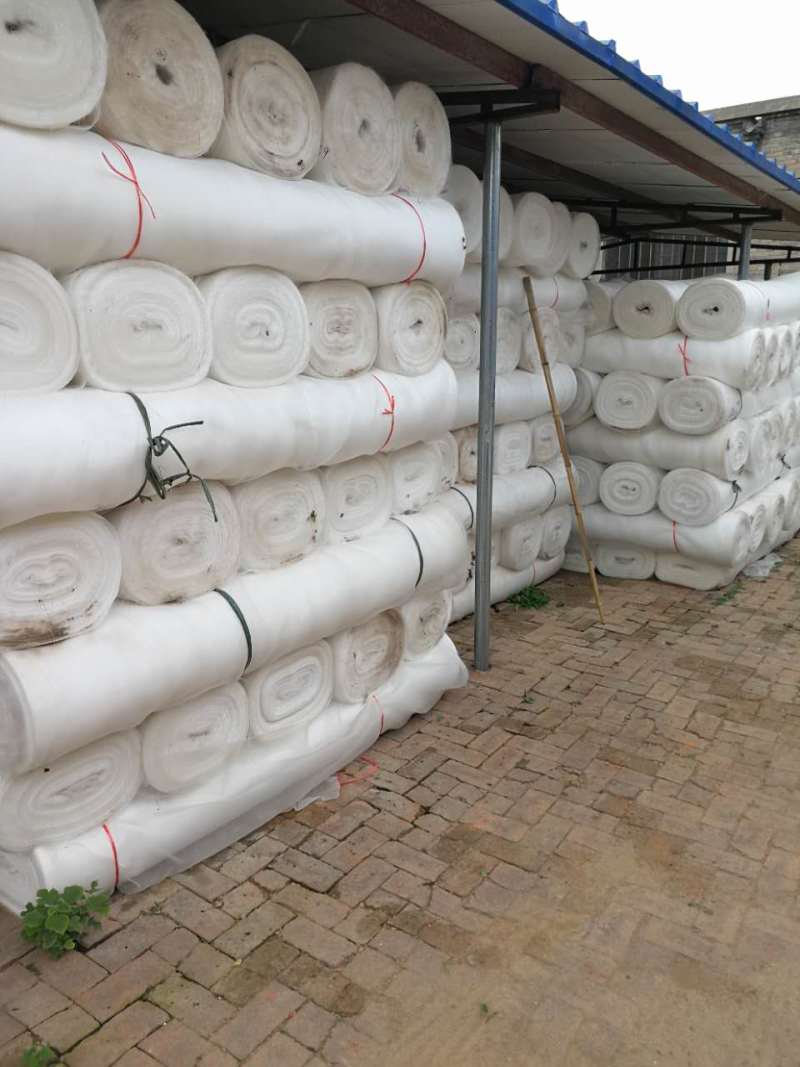 防虫网大棚专用养殖场防蚊网蛙厂聚乙烯纱网蔬菜果树脐橙围网