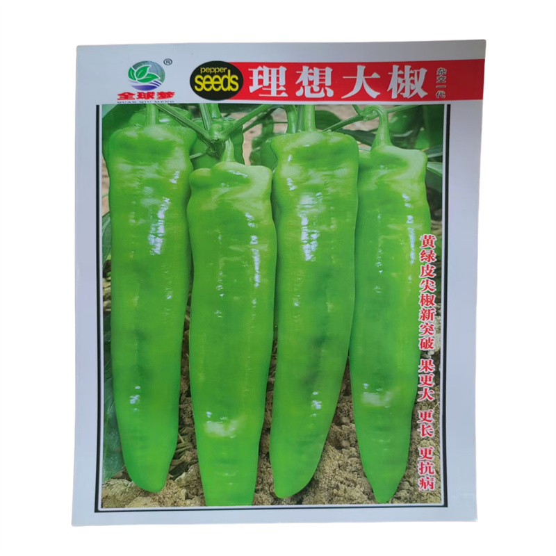 理想大辣椒种子中早熟黄皮尖椒种子大果羊角青椒种子高产