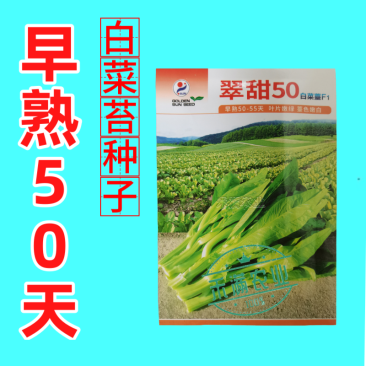 基地翠甜菜苔50天70天早熟白菜苔种子耐热抗热小白菜苔种