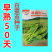 基地翠甜菜苔50天70天早熟白菜苔种子耐热抗热小白菜苔种