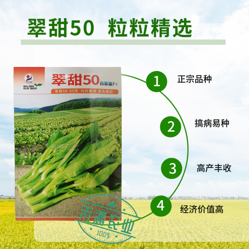 基地翠甜菜苔50天70天早熟白菜苔种子耐热抗热小白菜苔种