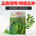 基地翠甜菜苔50天70天早熟白菜苔种子耐热抗热小白菜苔种