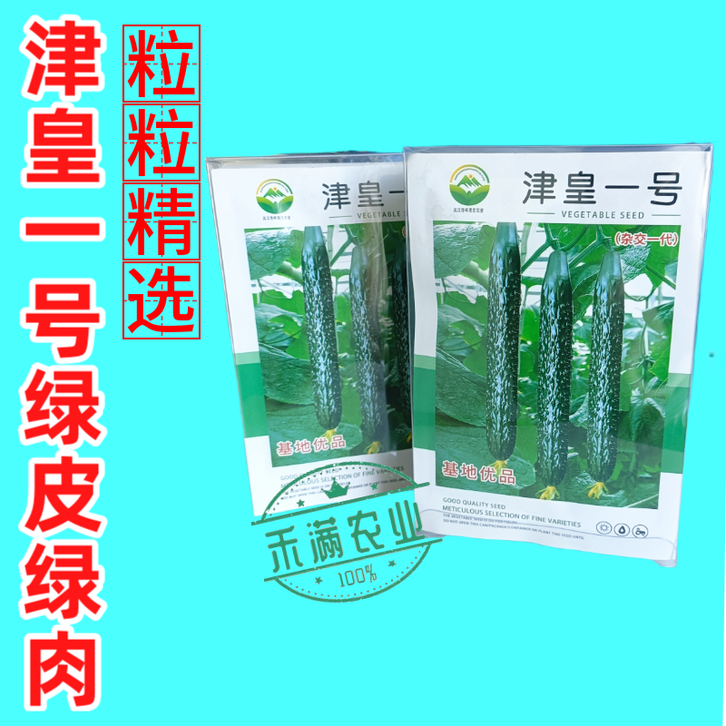 津皇一号油亮密刺黄瓜种子种籽强雌耐热高产春秋越冬