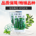 津皇一号油亮密刺黄瓜种子种籽强雌耐热高产春秋越冬