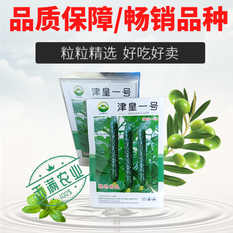 津皇一号油亮密刺黄瓜种子种籽强雌耐热高产春秋越冬